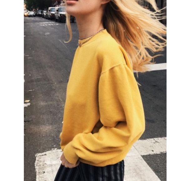Brandy Melville Sweaters - 🌈 Brandy Melville Erica Sweatshirt